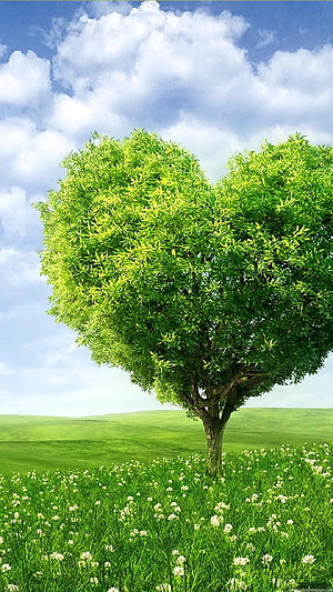 Heart-Shaped Tree in a Green Meadow with White Wildflowers Under a Blue Sky HD phone wallpaper