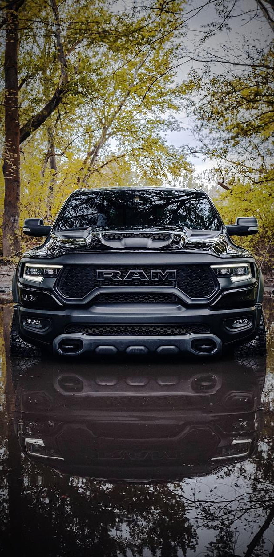 Black Ram TRX Front View Parked in Forest Water Reflection HD phone wallpaper