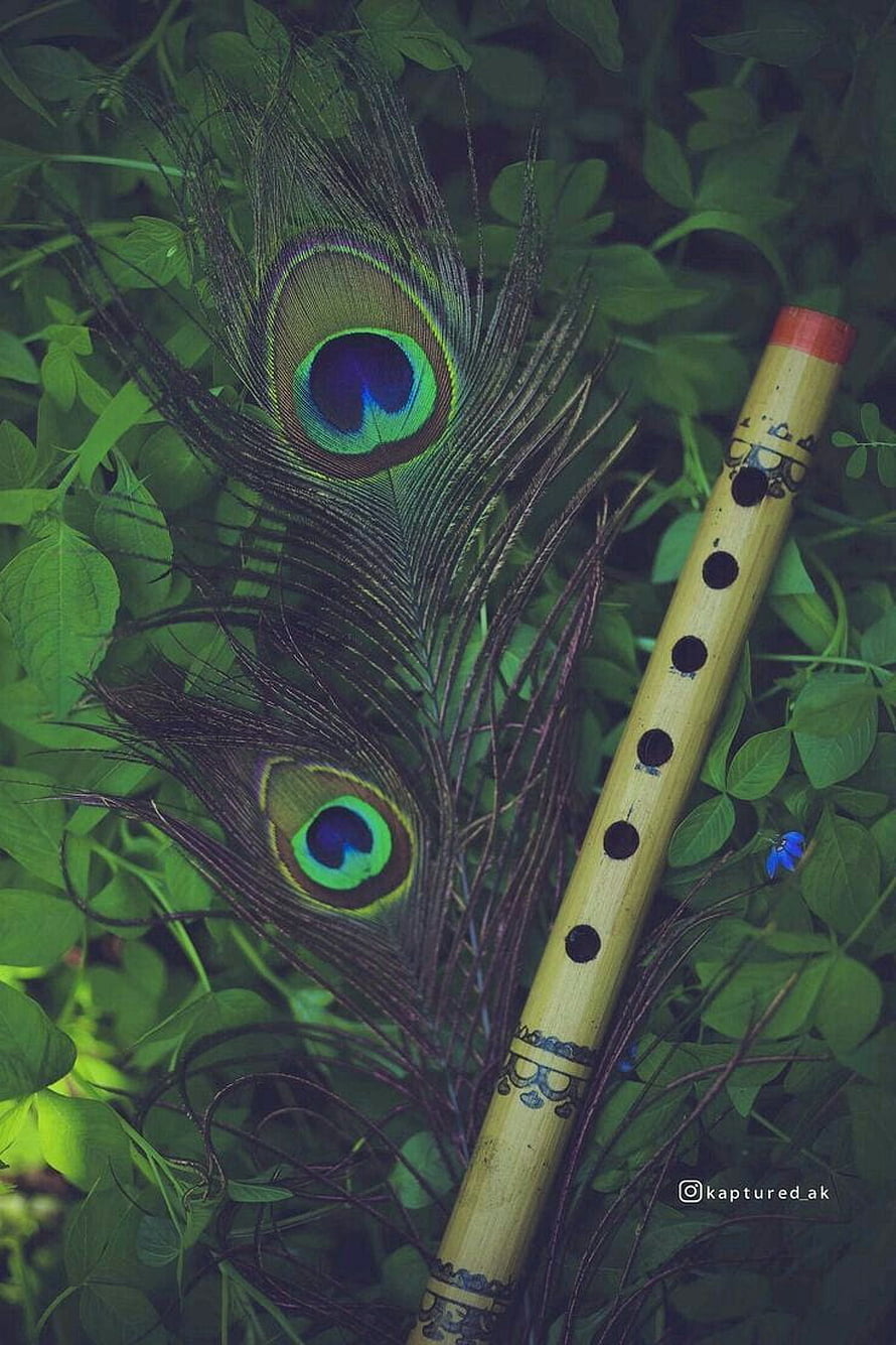 Bamboo Flute and Peacock Feathers Resting on Lush Green Foliage HD phone wallpaper