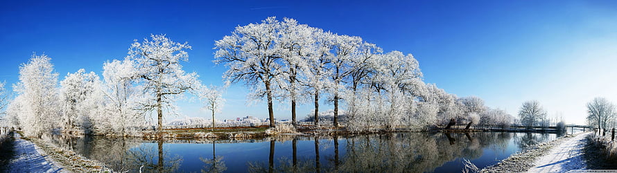 Frost-covered trees reflected in a calm river under a clear blue winter sky HD wallpaper