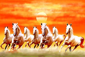Seven White Horses Galloping in a Line Against a Vibrant Orange Sunset Sky HD wallpaper
