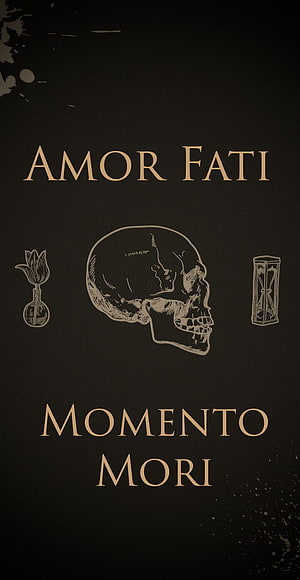 Amor Fati Memento Mori Skull Illustration with Hourglass and Alchemical Symbols on Dark Background HD phone wallpaper