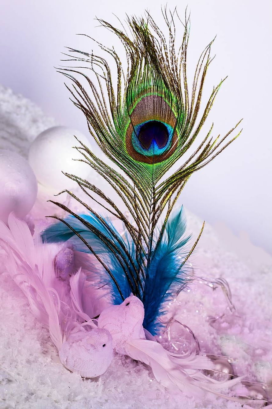 Vibrant Peacock Feather Arrangement with Pastel Pink and Blue Feathers on Soft White Bedding HD phone wallpaper