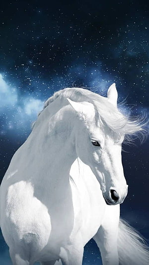 Majestic White Horse Portrait Against a Starry Night Sky HD phone wallpaper