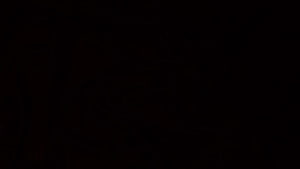 Minimalist Solid Black Screen for Desktop and Mobile Devices HD wallpaper