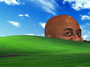 Bald Man Peeking Over Green Hill Under Blue Sky Meme Wallpaper HD wallpaper