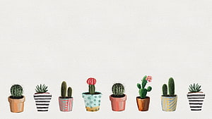 Watercolor Cactus and Succulent Collection in Patterned Pots on Textured Background HD wallpaper