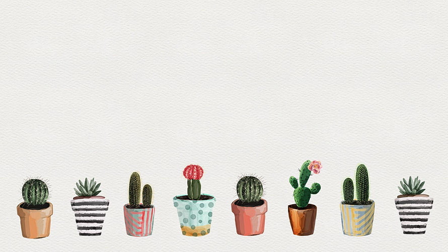 Watercolor Cactus and Succulent Collection in Patterned Pots on Textured Background HD wallpaper
