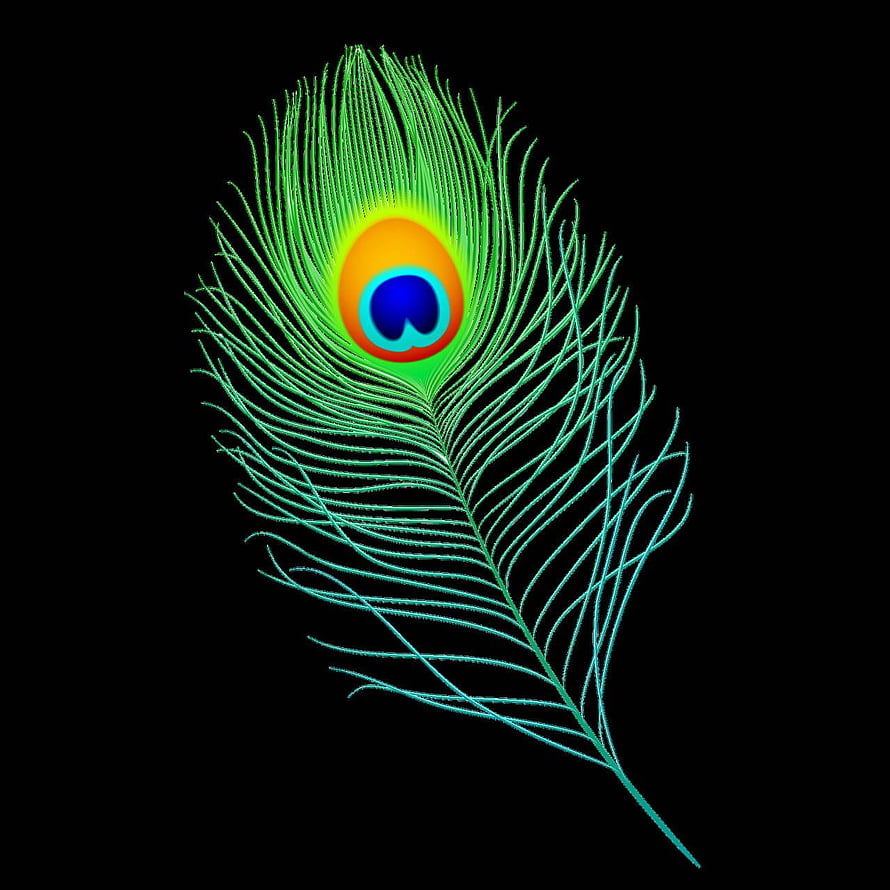 Vibrant Neon Peacock Feather with Iridescent Eye on Black Background HD phone wallpaper