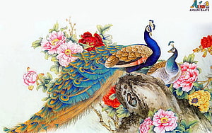 Traditional Chinese Peacock and Peony Flower Painting on Rock HD wallpaper