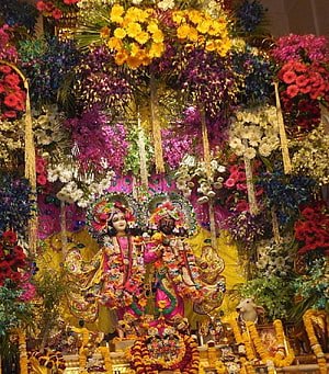 Ornate Hindu Deity Statues Adorned with Vibrant Floral Garlands in Vrindavan Temple HD phone wallpaper
