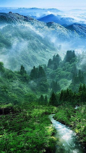 Misty Mountain Valley with Winding Stream and Lush Forest HD phone wallpaper