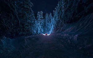 Lone Car Driving Through Snowy Night Forest with Glowing Headlights HD wallpaper