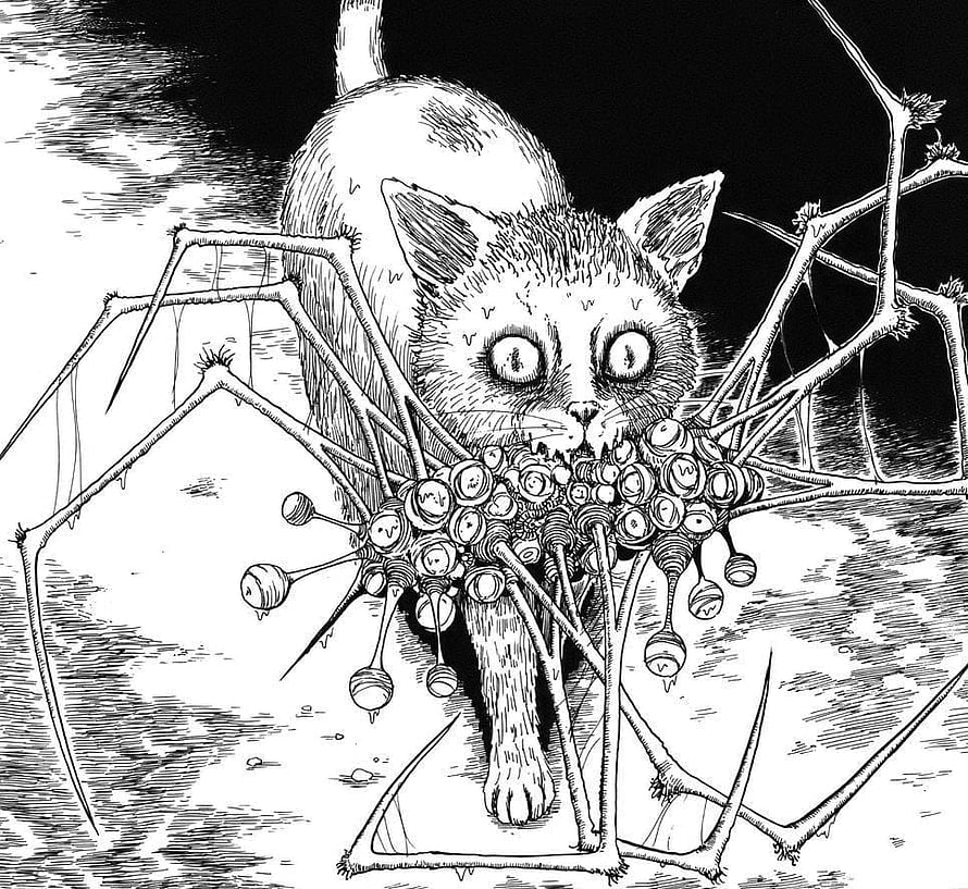 Junji Ito Horror Illustration: Cat with Parasitic Growth in Black and White Ink HD wallpaper