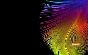 Vibrant Rainbow Feather Macro Photography on Black Background HD wallpaper