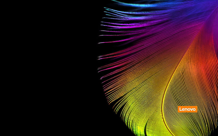 Vibrant Rainbow Feather Macro Photography on Black Background HD wallpaper