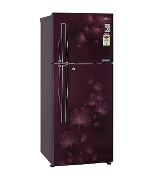 LG Double Door Refrigerator with Maroon Floral Design and Smart Inverter Technology HD phone wallpaper