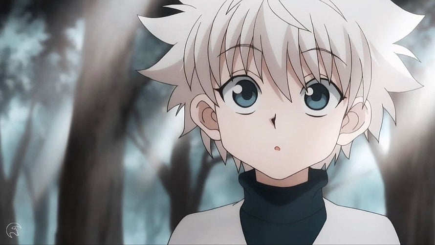 Killua Zoldyck Anime Character Portrait in Misty Forest Setting HD wallpaper