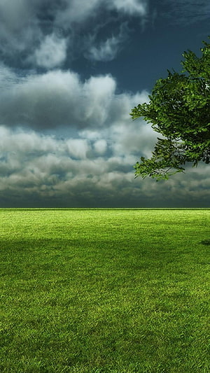Vast Green Meadow Under Dramatic Storm Clouds With Overhanging Tree Branches HD phone wallpaper