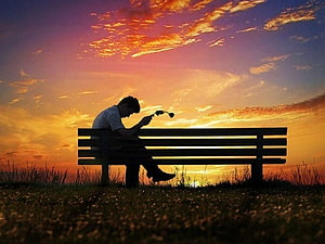 Silhouette of a man sitting alone on a park bench at sunset holding a wilted flower, of Love Hurts Sad, boy sad HD wallpaper