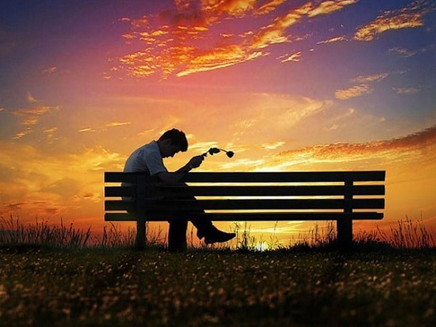 Silhouette of a man sitting on a park bench holding a wilted flower against a vibrant sunset sky HD wallpaper