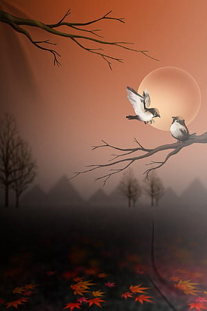 Two Birds on Bare Branches Against a Warm Autumn Sunset with Distant Misty Hills HD phone wallpaper