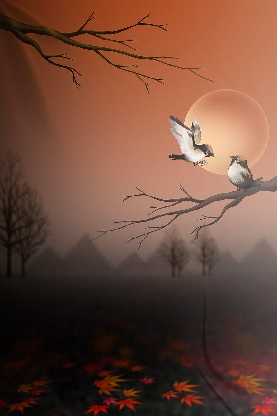Two Birds on Bare Branches Against a Warm Autumn Sunset with Distant Misty Hills HD phone wallpaper