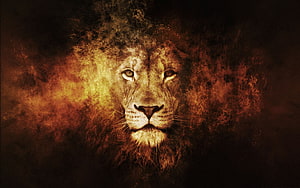 Lion of Judah Portrait with Fiery Smoke and Dramatic Golden Lighting HD wallpaper