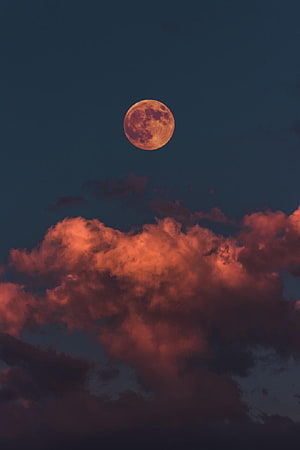 Full Moon Rising Above Dramatic Sunset Clouds in Deep Blue Sky HD phone wallpaper