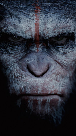 Dawn of the Planet of the Apes Caesar Close-Up Portrait with Red Forehead Mark HD phone wallpaper