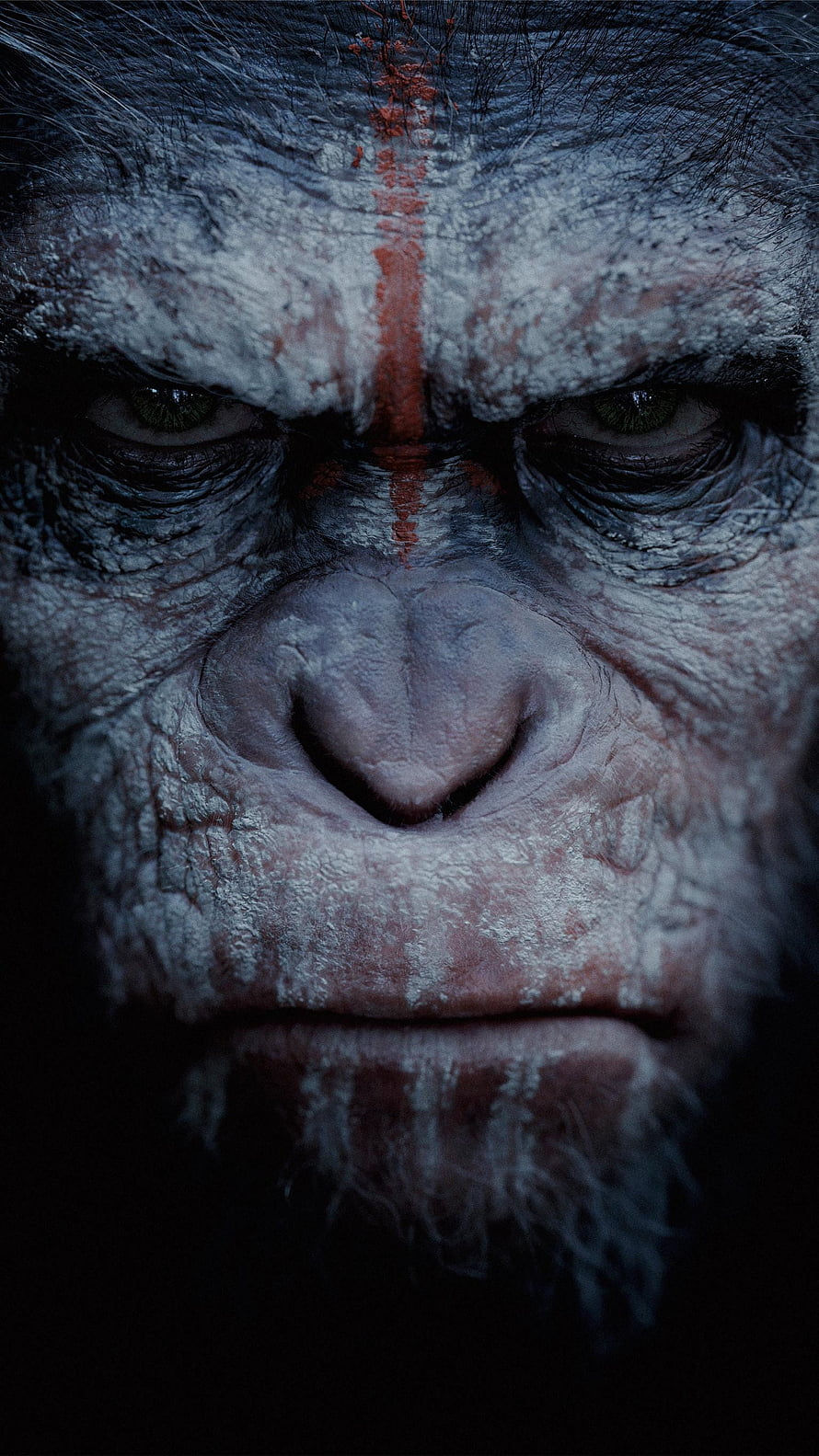 Dawn of the Planet of the Apes Caesar Close-Up Portrait with Red Forehead Mark HD phone wallpaper