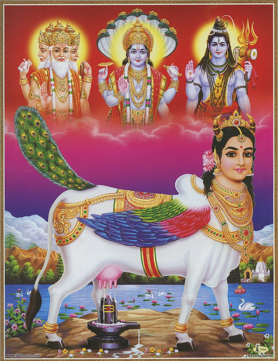 Kamadhenu Divine Cow with Trishul and Hindu Deities in Traditional Indian Art HD phone wallpaper