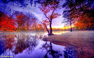 Vibrant Autumn Lake Scene With Misty Reflections And Colorful Foliage HD wallpaper