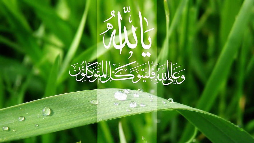 Islamic Arabic Calligraphy on Fresh Green Grass with Dew Drops HD wallpaper