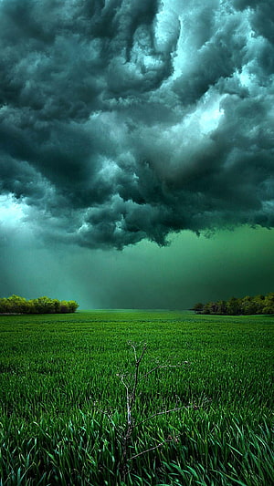 Dramatic Storm Clouds Over a Lush Green Field with Rain and Dark Skies HD phone wallpaper