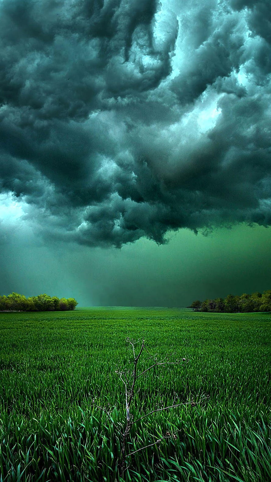 Dramatic Storm Clouds Over a Lush Green Field with Rain and Dark Skies HD phone wallpaper
