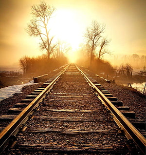 Misty Sunrise Over Rural Railroad Tracks With Bare Trees And Snow HD phone wallpaper