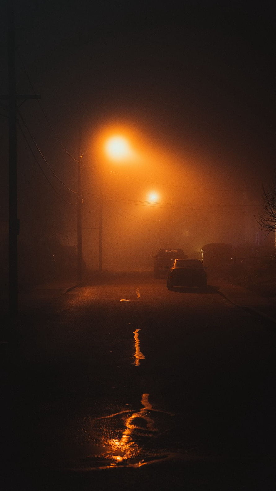 Moody Night Street Scene with Foggy Streetlights and Wet Road Reflections HD phone wallpaper