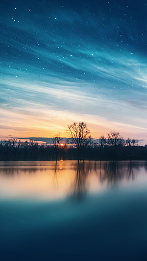 Serene Lake Sunset with Starry Night Sky and Bare Tree Reflections HD phone wallpaper