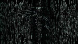 Kali Linux Terminal Interface with Matrix Code Rain and Backtrack Day Text HD wallpaper