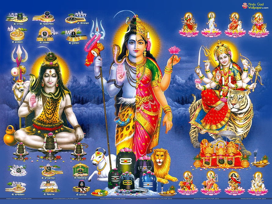 Ardhnarishwar Hindu Deity Illustration with Shiva, Parvati, and Durga on Tiger HD wallpaper