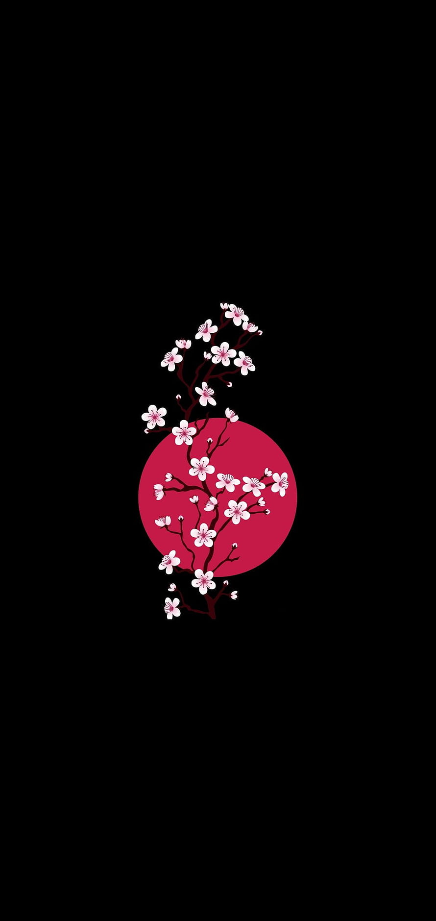 Minimalist Cherry Blossom Branch Against Red Sun on Black Background HD phone wallpaper