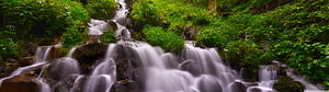 Lush Forest Waterfall Cascading Over Mossy Rocks in Summer HD wallpaper