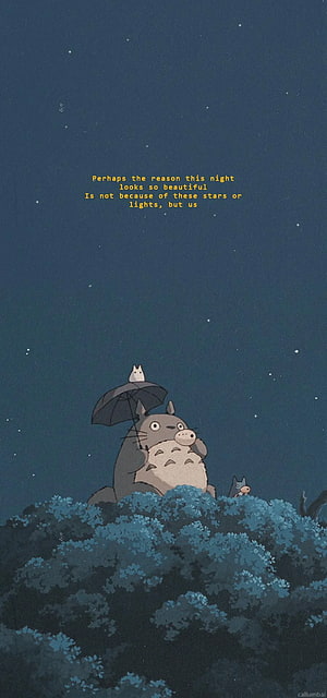 Totoro and Friends Under a Starry Night Sky with Umbrella HD phone wallpaper
