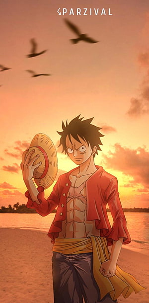 Monkey D. Luffy Standing on Beach at Sunset Holding Straw Hat HD phone wallpaper