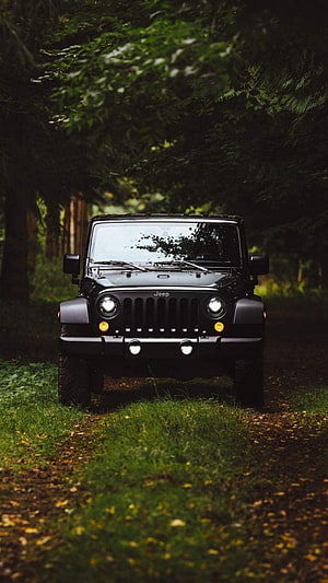 Black Jeep Wrangler parked on a forest trail with headlights on HD phone wallpaper