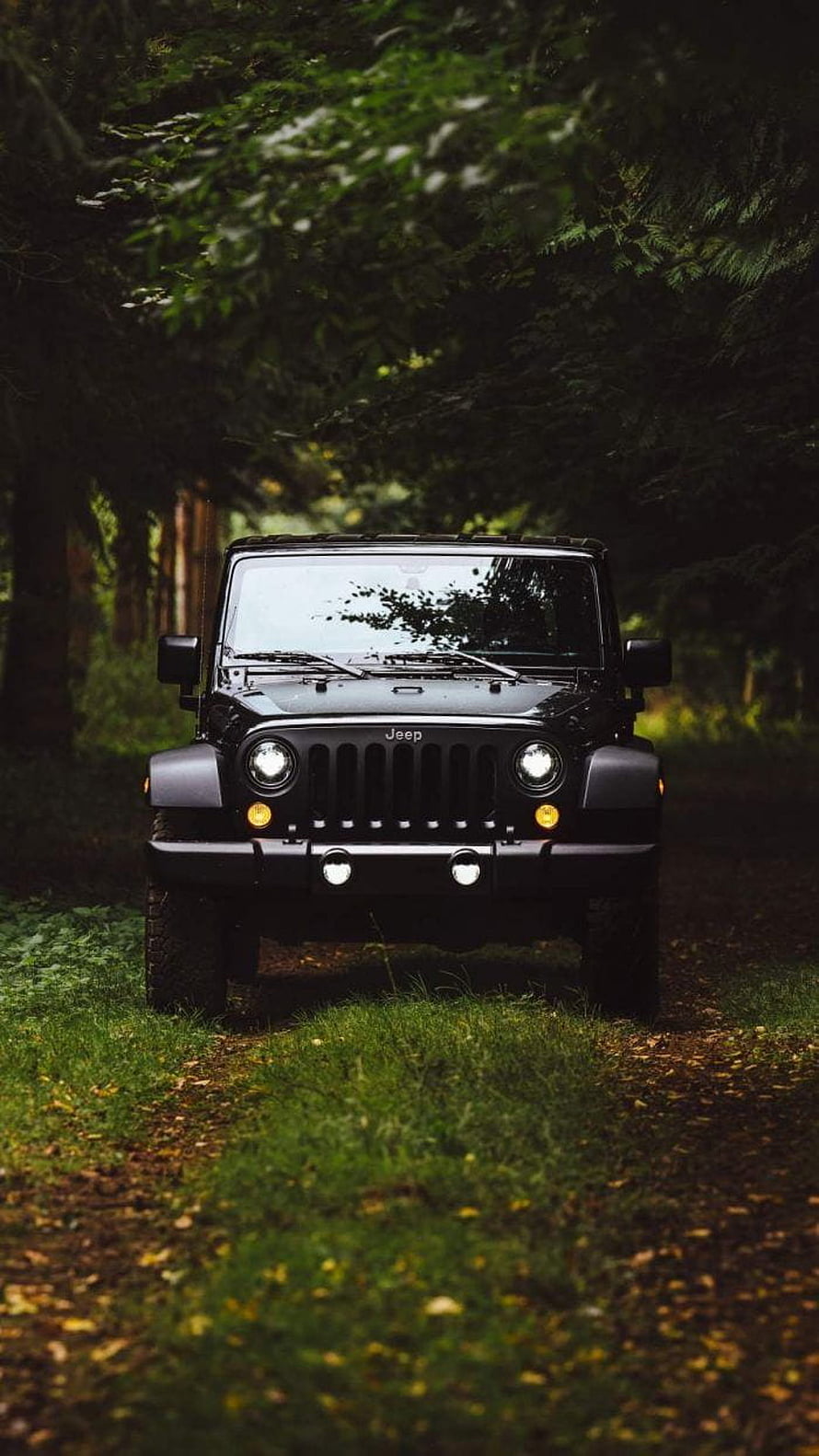 Black Jeep Wrangler parked on a forest trail with headlights on HD phone wallpaper