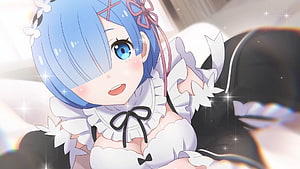 Rem in Maid Outfit from Re: Zero Anime Series HD wallpaper