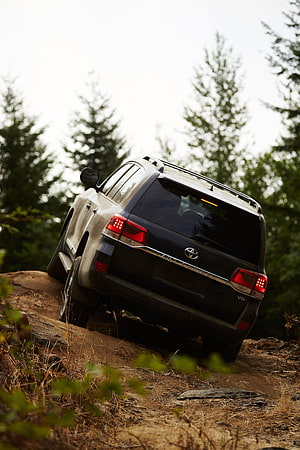 Black Toyota Land Cruiser V8 Off-Road on Rocky Forest Trail HD phone wallpaper