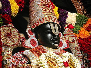 Lord Venkateswara Temple Idol Adorned in Jewels and Marigold Garlands HD wallpaper